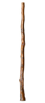 Heartland Didgeridoo (HD572)